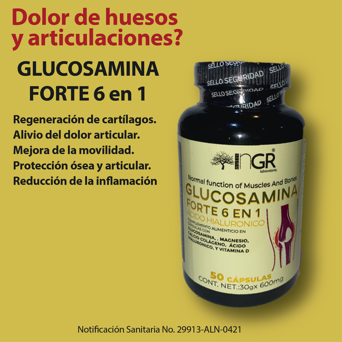 GLUCOSAMINA FORTE 6 en 1